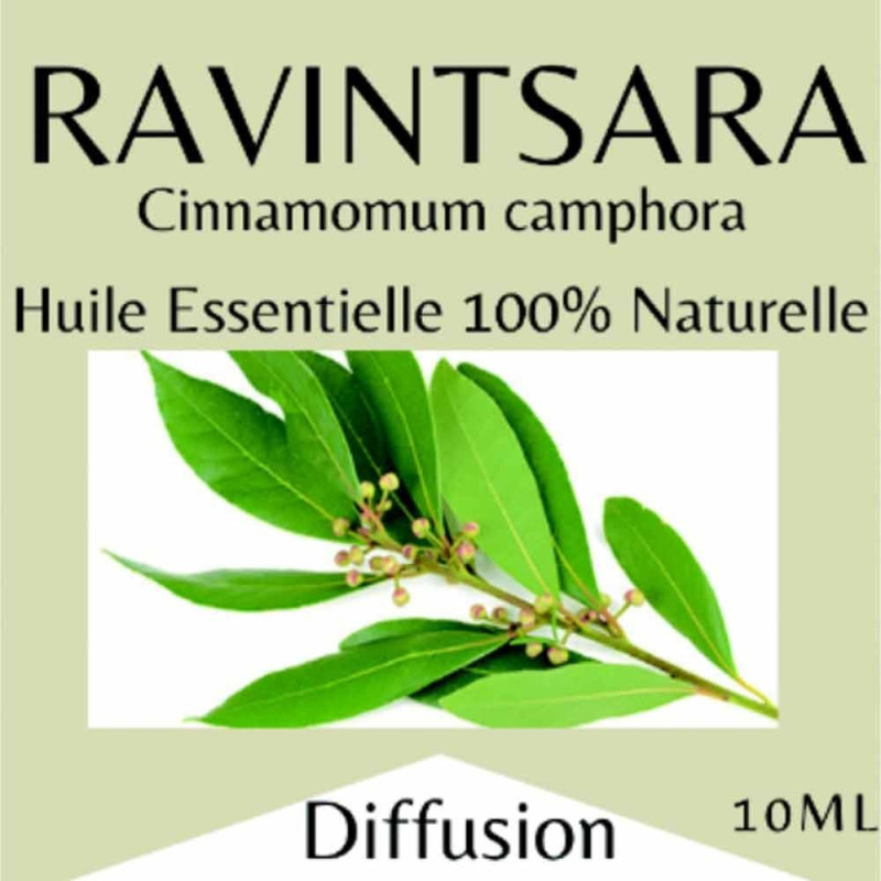 Ravintsara huile essentielle 10 ml, flacon codigoutte