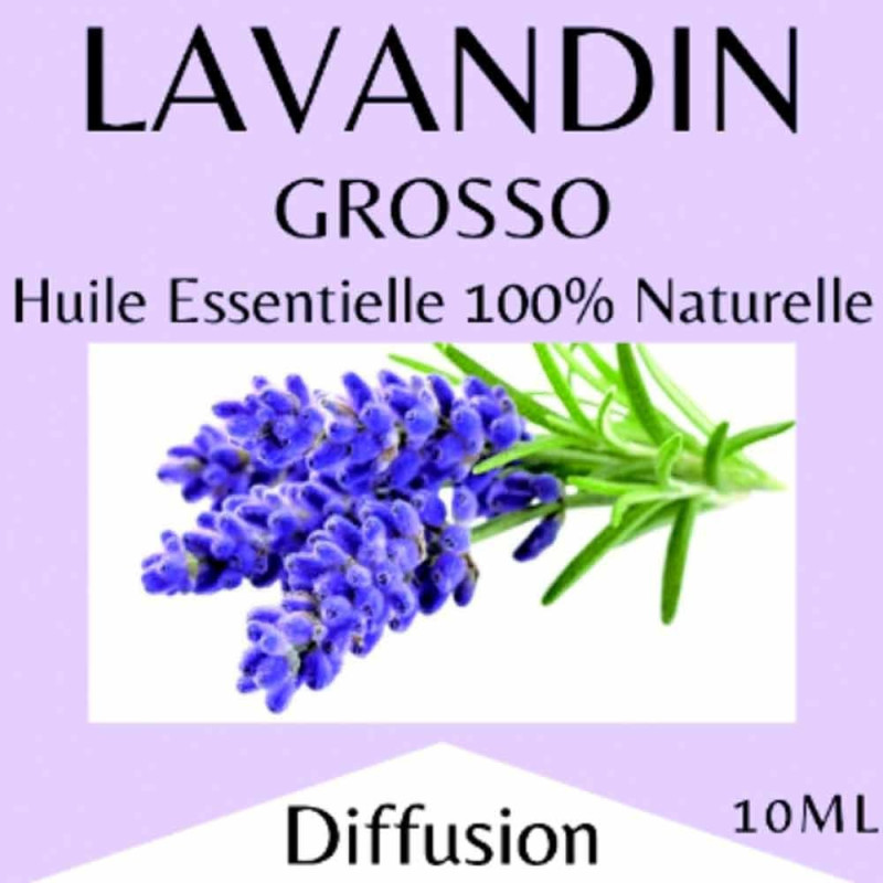 Lavandin Grosso bio, huile essentielle 10 ml stop-goutte Lavandin Grosso bio, huile essentielle 10 ml stop-goutte