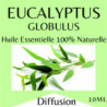 Eucalyptus radiata bio, huile essentielle 10 ml Aroms