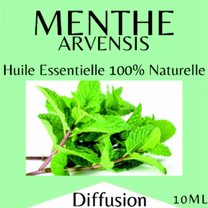 Menthe arvensis huile essentielle 10 ml, stop-goutte Menthe arvensis huile essentielle 10 ml, stop-goutte