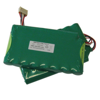 Batterie 12 V Ni-MH pour Globus Medisound 3000
